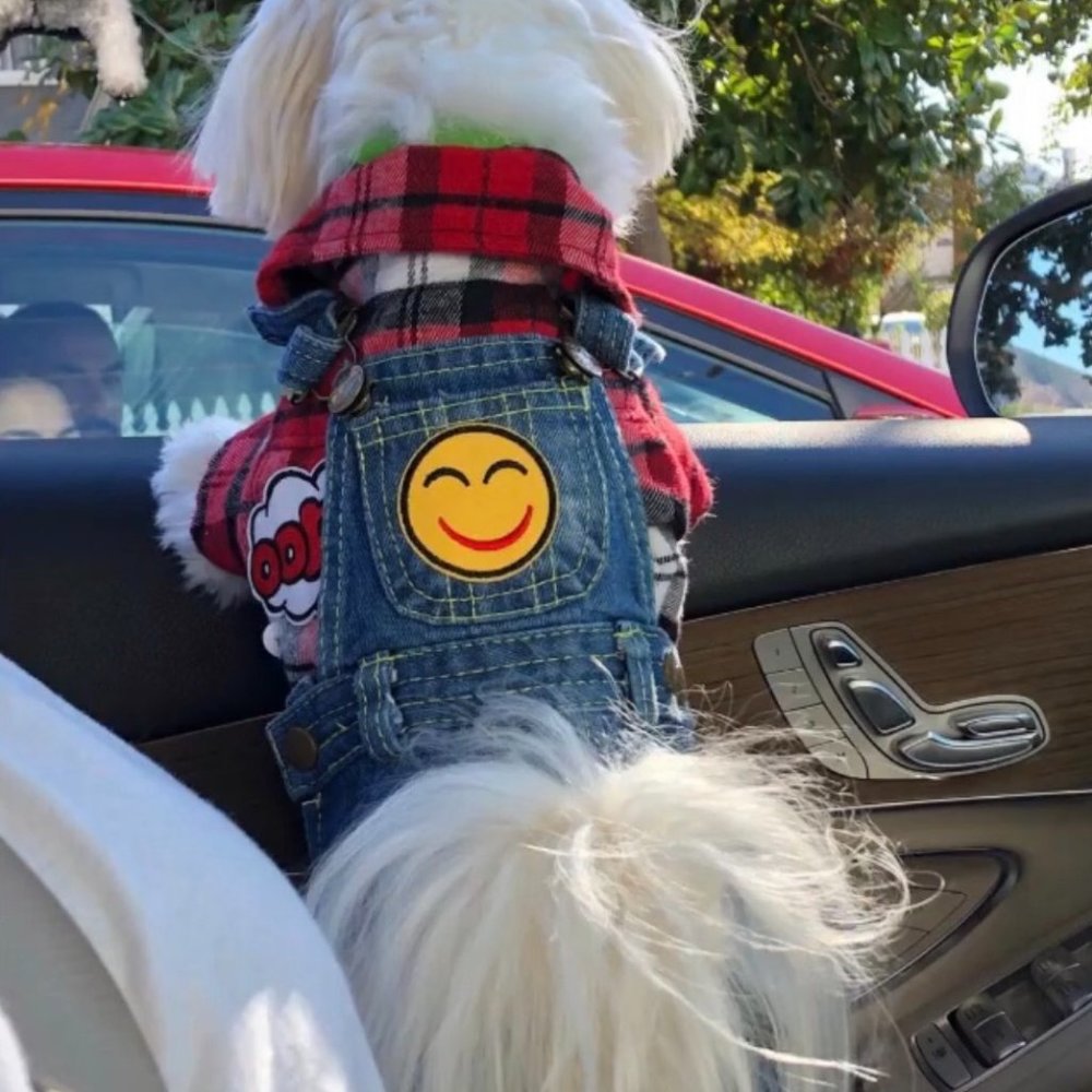 Pet clothing- pet denim overalls- XS-M - Picture 7 of 7